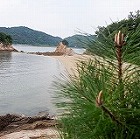 学院島 美化活動
